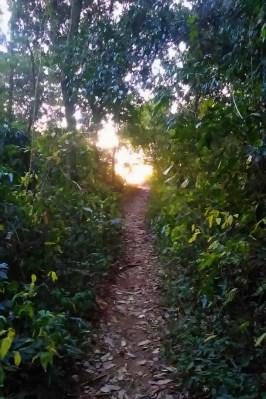 WhatsApp Image 2018-07-07 at 18.46.52