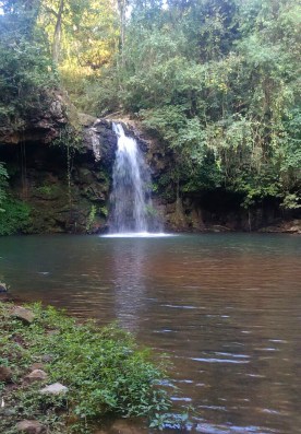 WhatsApp Image 2018-07-07 at 18.46.54