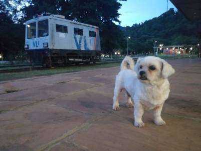 WhatsApp Image 2019-02-03 at 22.41.06 (1)