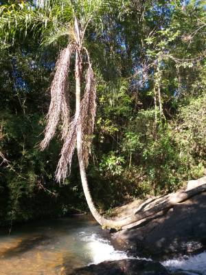 WhatsApp Image 2019-02-03 at 22.41.15