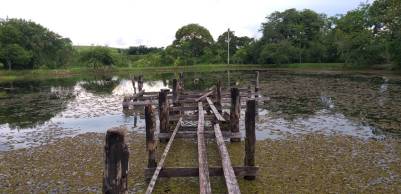 WhatsApp Image 2019-02-03 at 22.55.18