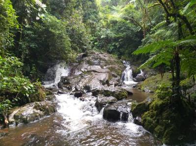 WhatsApp Image 2019-02-24 at 21.44.04