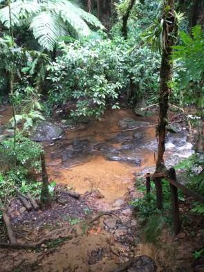 WhatsApp Image 2019-02-24 at 22.00.16 (2)