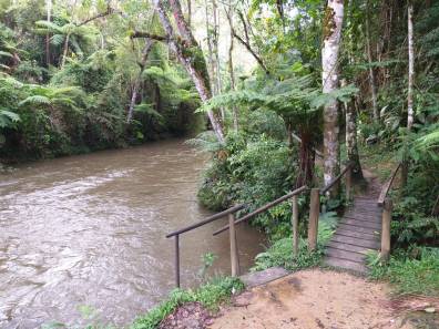 WhatsApp Image 2019-02-24 at 22.00.22 (2)