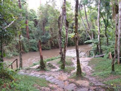 WhatsApp Image 2019-02-24 at 22.02.55 (2)