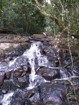 WhatsApp Image 2019-04-02 at 22.45.20 (2)