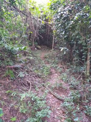 WhatsApp Image 2019-04-02 at 22.45.24 (1)