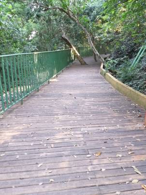 WhatsApp Image 2019-04-02 at 22.46.24