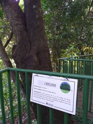 WhatsApp Image 2019-04-02 at 22.46.25 (2)