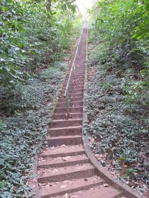 WhatsApp Image 2019-04-02 at 22.46.27 (1)