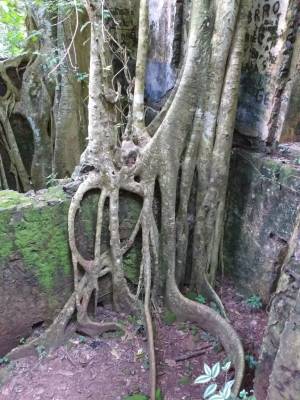 WhatsApp Image 2019-04-02 at 22.46.27 (2)