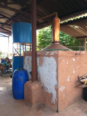 WhatsApp Image 2019-04-03 at 18.03.12 (1)