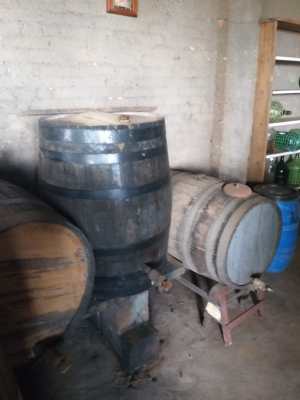 WhatsApp Image 2019-04-03 at 18.03.12 (2)