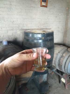 WhatsApp Image 2019-04-03 at 18.03.13 (1)