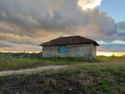 WhatsApp Image 2019-04-29 at 13.46.11 (1)