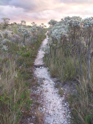 WhatsApp Image 2019-04-29 at 13.46.12 (1)