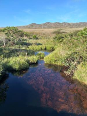 WhatsApp Image 2019-04-29 at 13.46.16