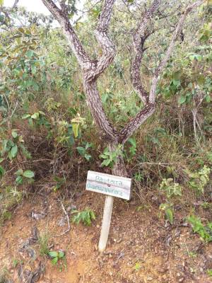 WhatsApp Image 2019-04-29 at 13.55.54