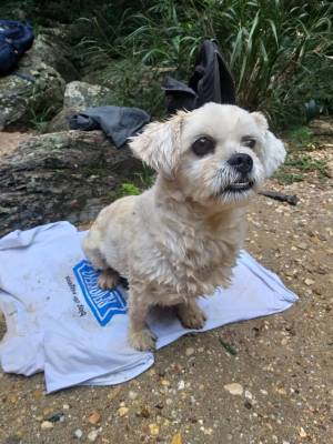 WhatsApp Image 2019-05-13 at 21.54.12 (1)