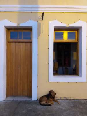 WhatsApp Image 2019-06-02 at 13.17.34 (1)