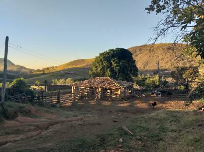 WhatsApp Image 2019-07-16 at 22.32.45