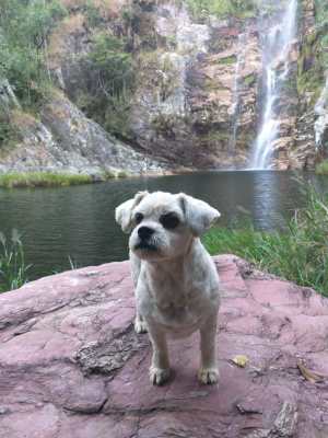 WhatsApp Image 2019-07-16 at 22.32.47