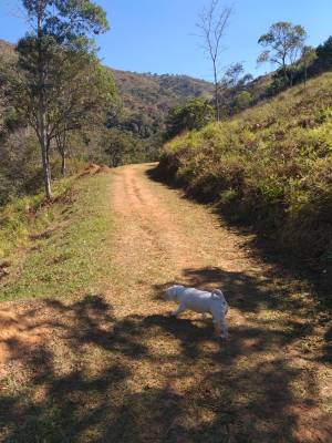 WhatsApp Image 2019-07-16 at 22.34.32 (1)