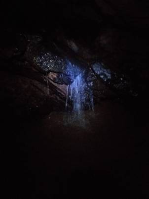 WhatsApp Image 2019-07-16 at 22.35.09 (1)