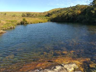 WhatsApp Image 2019-07-16 at 22.36.41 (2)