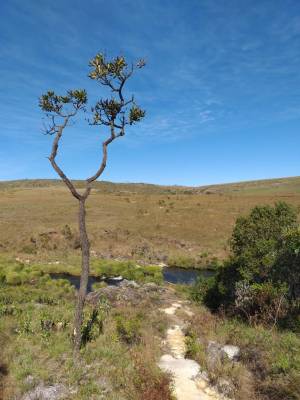 WhatsApp Image 2019-07-16 at 22.36.42 (2)