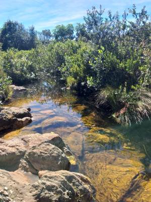 WhatsApp Image 2019-07-16 at 22.36.45 (2)