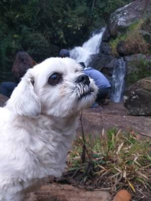 WhatsApp Image 2019-08-04 at 21.23.18 (3)