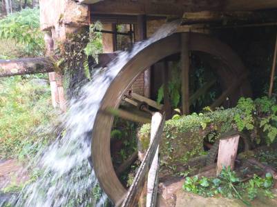 WhatsApp Image 2019-08-04 at 21.23.56