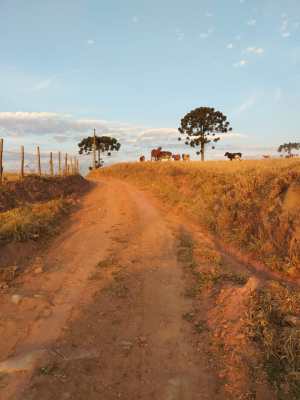 WhatsApp Image 2019-08-04 at 21.23.57