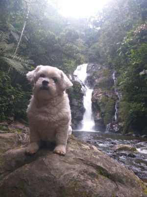 WhatsApp Image 2019-09-01 at 14.03.05