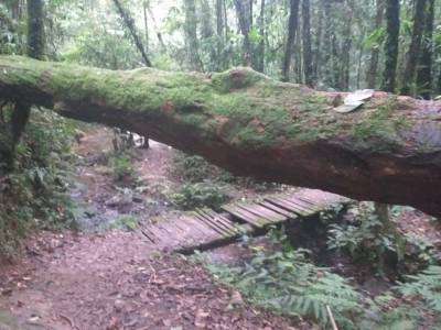 WhatsApp Image 2019-09-01 at 14.04.03