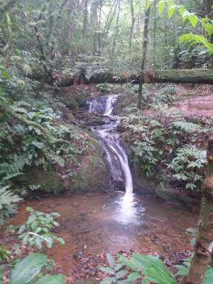 WhatsApp Image 2019-09-01 at 14.04.04