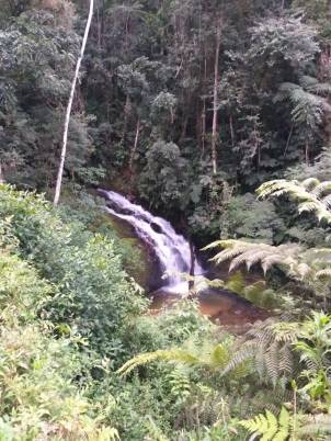 WhatsApp Image 2019-09-01 at 14.04.09 (1)