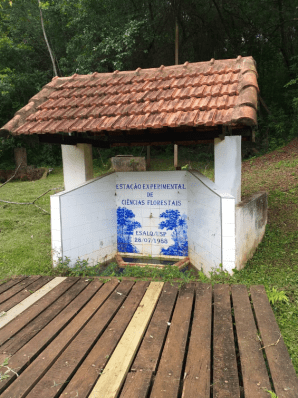 Captura de Tela 2020-03-17 às 22.08.39