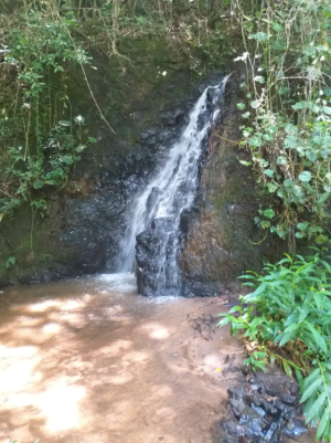 Captura de Tela 2020-03-17 às 22.08.51