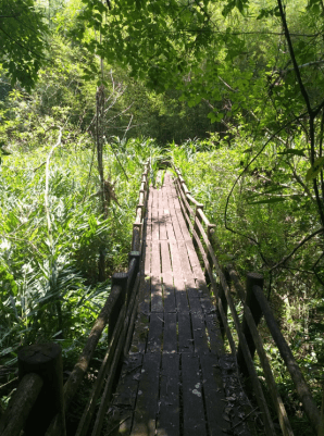 Captura de Tela 2020-03-17 às 22.09.00