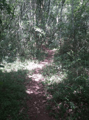 Captura de Tela 2020-03-17 às 22.09.22