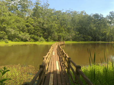 Captura de Tela 2020-03-17 às 22.10.01