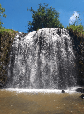 Captura de Tela 2020-03-17 às 22.10.24
