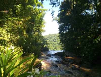 Captura de Tela 2020-03-17 às 22.10.48