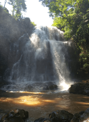 Captura de Tela 2020-03-17 às 22.10.57