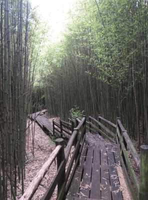 Captura de Tela 2020-03-17 às 22.26.37