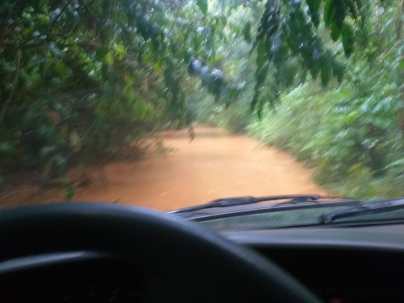 WhatsApp Image 2020-03-10 at 20.30.36 (1)