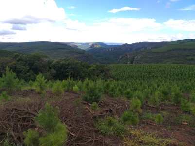 WhatsApp Image 2020-03-10 at 20.30.41