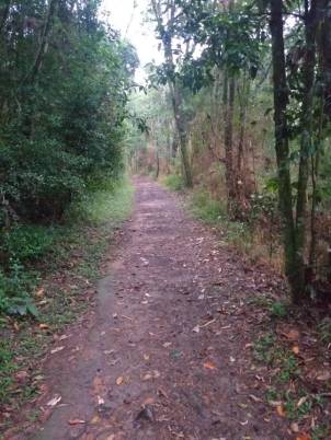 WhatsApp Image 2020-03-10 at 20.31.51 (1)